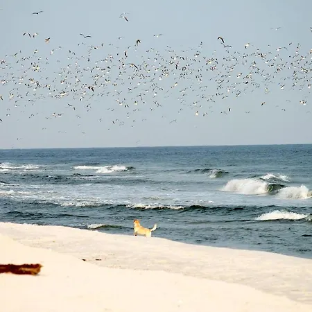 Lejlighed White Pearl 1.04 *