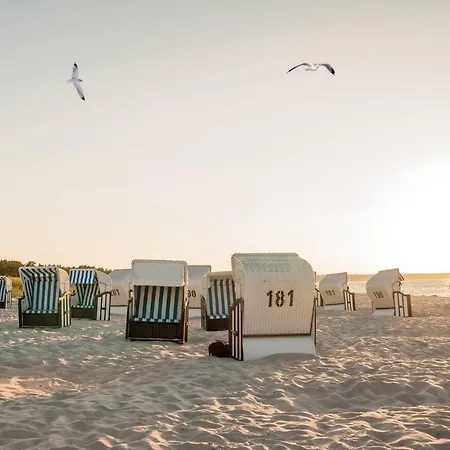 Apartman White Pearl 1.04 *