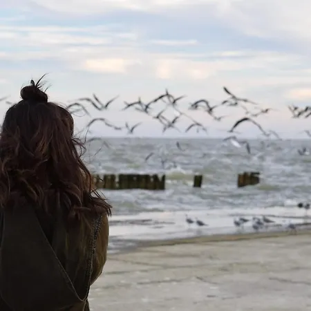 Lejlighed White Pearl 1.04 Timmendorfer Strand