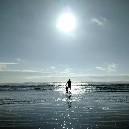 White Pearl 1.04 Apartman *